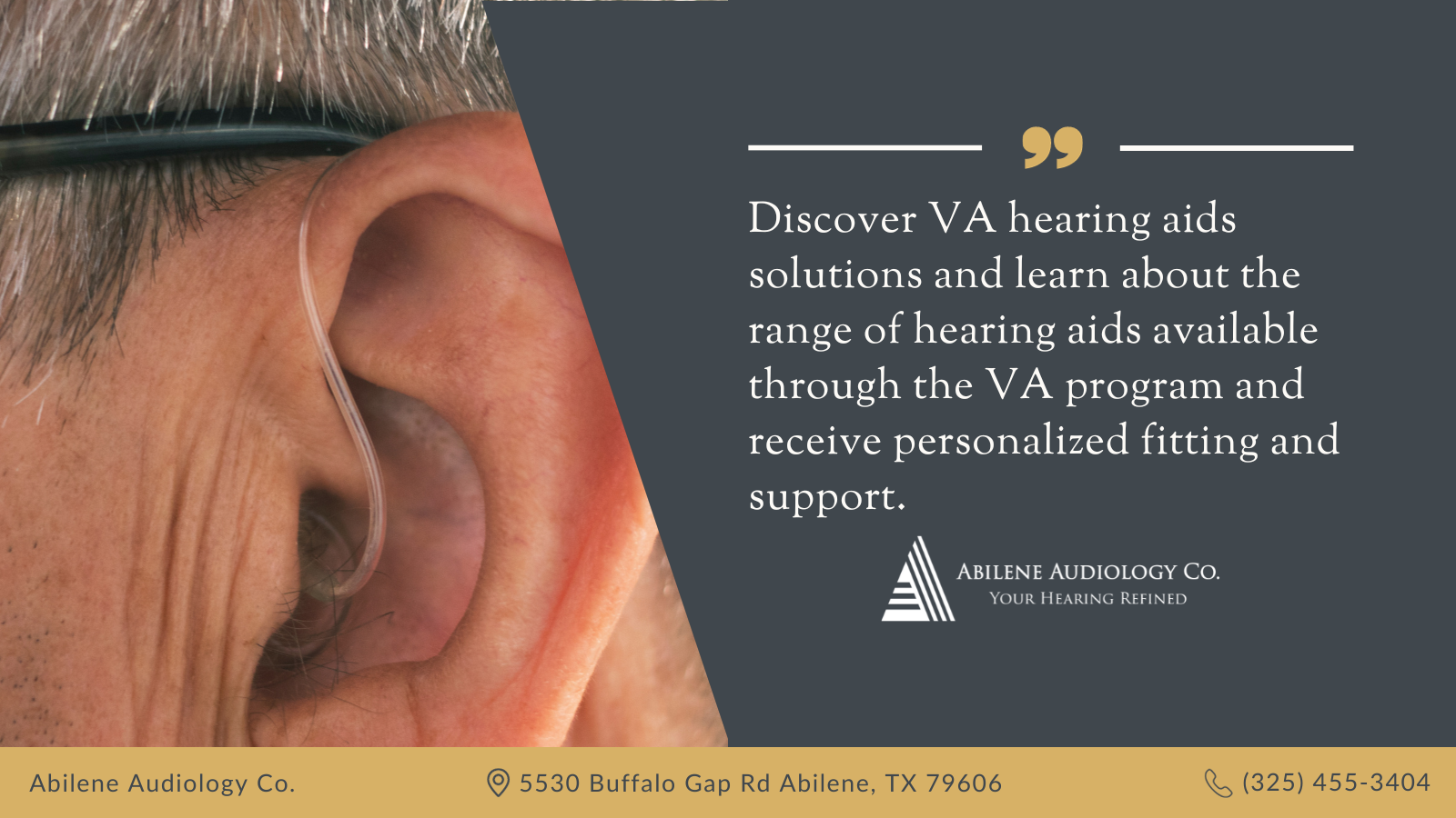 VA Hearing Aids